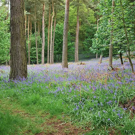 Vakantiehuis High Moor *